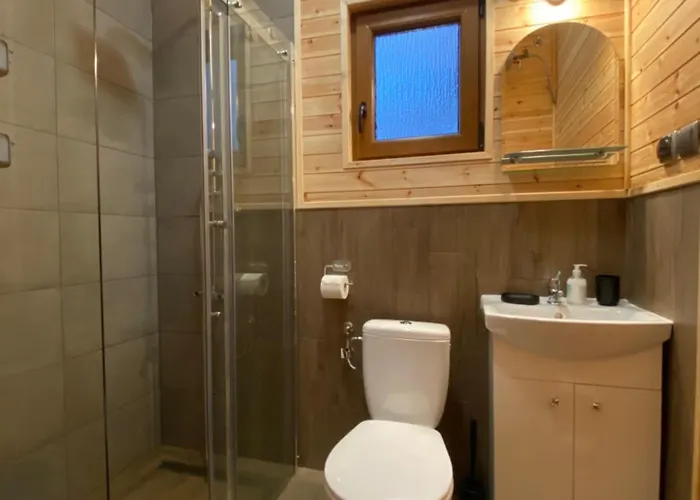 Z Widokiem Jeziora Borsk